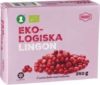 Lingon, fryst eko