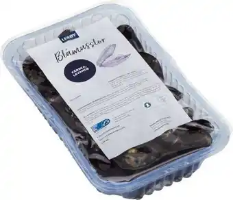 Blåmusslor färska
