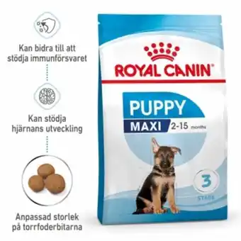 Royal canin dog maxi puppy
