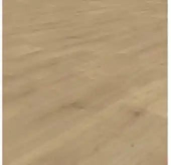 Laminatgolv skandor sheer oak ek