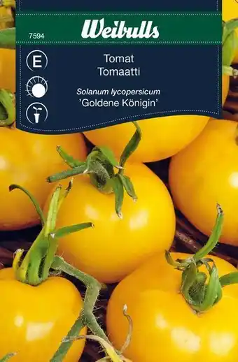 Blomsterlandet Tomat 'goldene königin' erbjuda