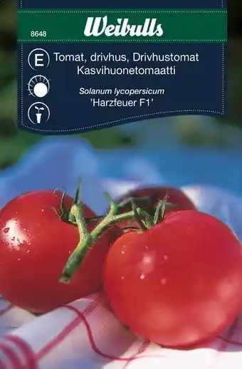 Tomat 'harzfeuer' f1