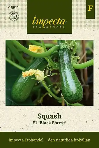 Blomsterlandet Squash f1 'black forest' erbjuda