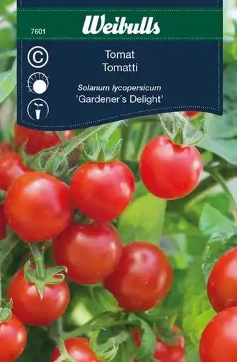 Blomsterlandet Tomat 'gardeners delight' erbjuda