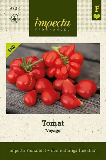 Blomsterlandet Tomat 'voyage' erbjuda