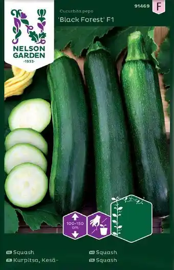Blomsterlandet Squash 'black forest' f1 erbjuda