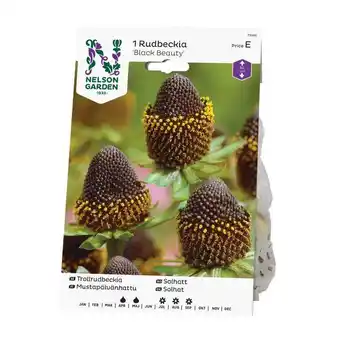Blomsterlandet Trollrudbeckia 'black beauty' erbjuda