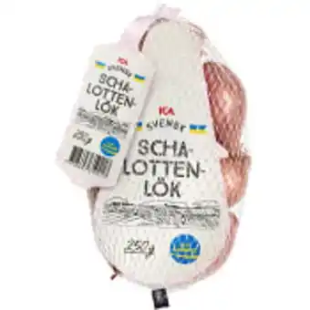 ICA Maxi Schalottenlök 250g klass 1 ica erbjuda