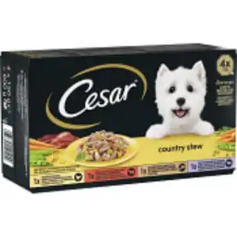 Hundmat våtfoder blandade smaker 4-p 600g cesar
