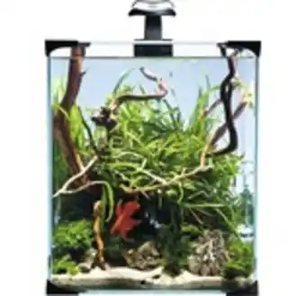 Hornbach Nanoakvarium led 20l 25x25x30cm erbjuda