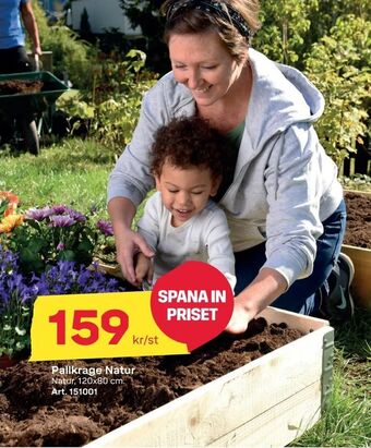 Byggmax Pallkrage Natur erbjuda