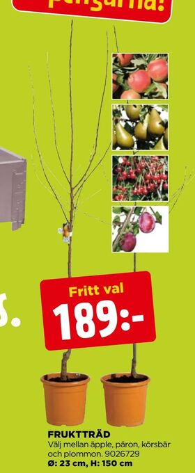 Jem&Fix Fruktträd erbjuda