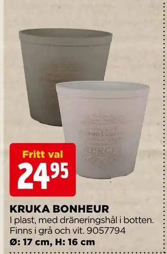 Kruka bonheur