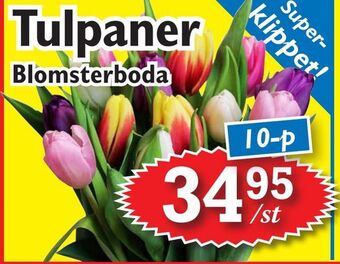 T-jarlen Tulpaner erbjuda