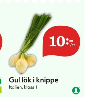 Hemköp Gul lök i knippe erbjuda