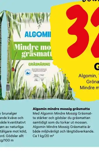 City Gross Algomin mindre mossig gräsmatta erbjuda