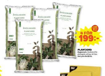 Plantjord