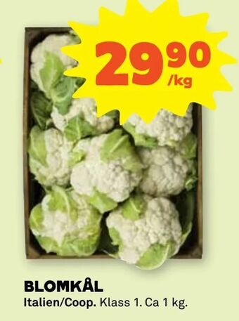 Stora Coop Blomkål erbjuda