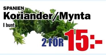 Matdax Koriander/Mynta erbjuda