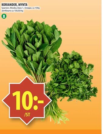 Matvärlden Tensta Koriander, mynta erbjuda