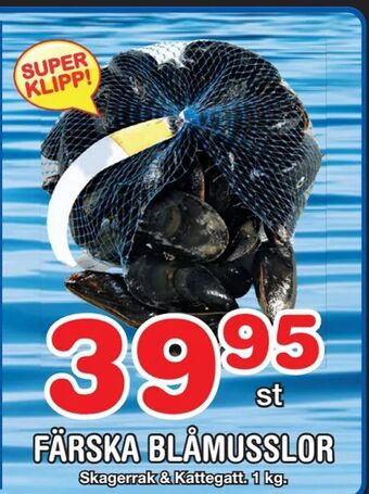 Nya Pulsen Färska blåmusslor erbjuda