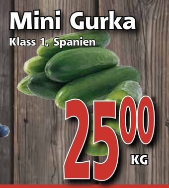 Supergrossen Mini Gurka erbjuda