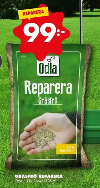 ÖoB Gräsfrö reparera erbjuda