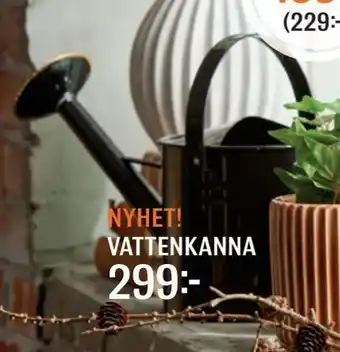 Vattenkanna