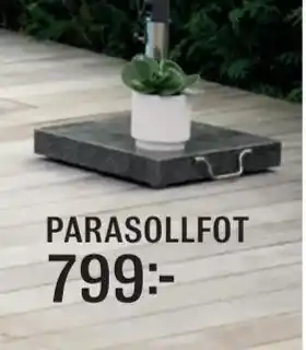 Parasollfot