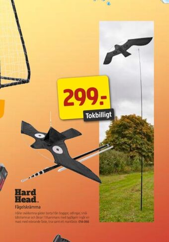 Hard Head Fågelskrämma