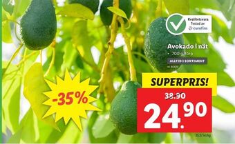 Lidl Avokado i nät erbjuda