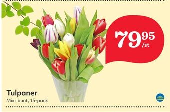 Hemköp Tulpaner erbjuda
