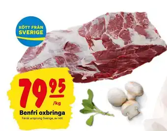 Benfri oxbringa
