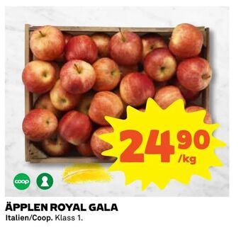 Coop Extra Äpplen royal gala erbjuda