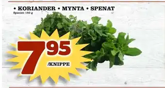 Rinkeby Matcenter Koriander • mynta • spenat erbjuda
