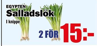 Matdax Salladslök erbjuda