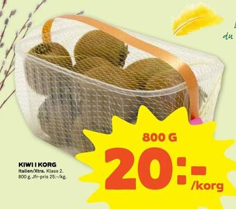 KIWI I KORG