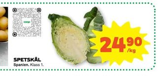 Stora Coop Spetskål erbjuda