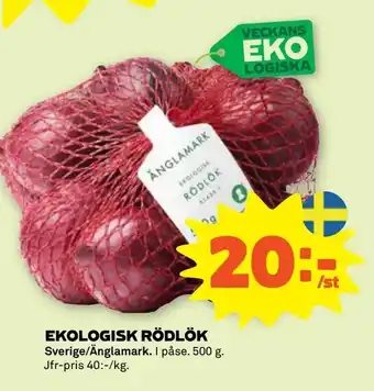 Stora Coop Ekologisk rödlök erbjuda