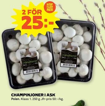Stora Coop Champinjoner i ask erbjuda