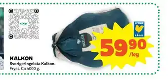 Kalkon