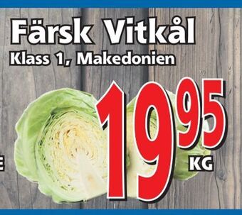 Färsk Vitkål