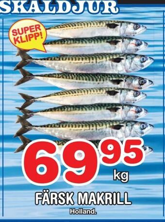 Nya Pulsen Färsk makrill erbjuda