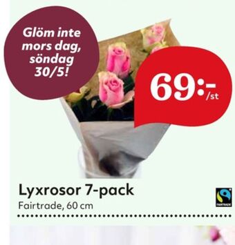Hemköp Blommor erbjuda