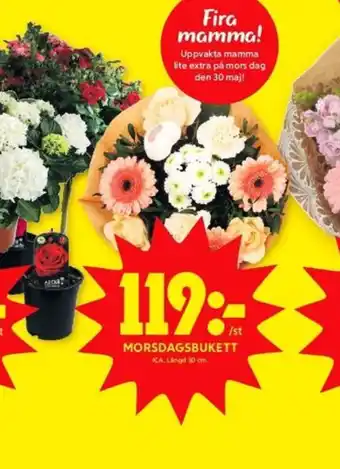ICA Kvantum Blommor erbjuda