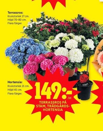 ICA Kvantum Plantor erbjuda
