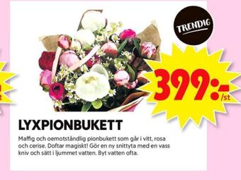 ICA Maxi Blomsterboda Blommor erbjuda