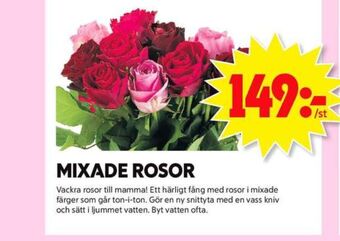 ICA Maxi Blomsterboda Blommor erbjuda
