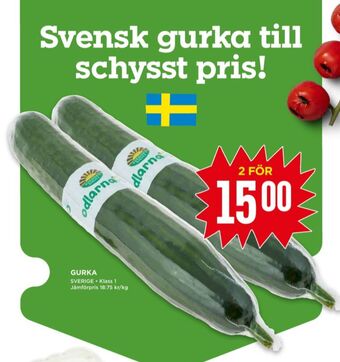 Willys Odlarna.se Gurka erbjuda