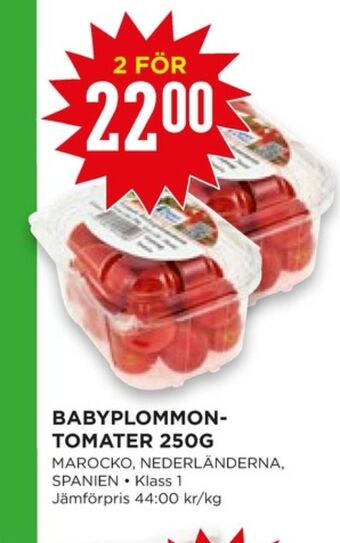 Plommontomater